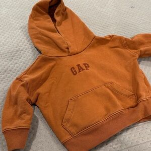 GAP Rust Hoodie